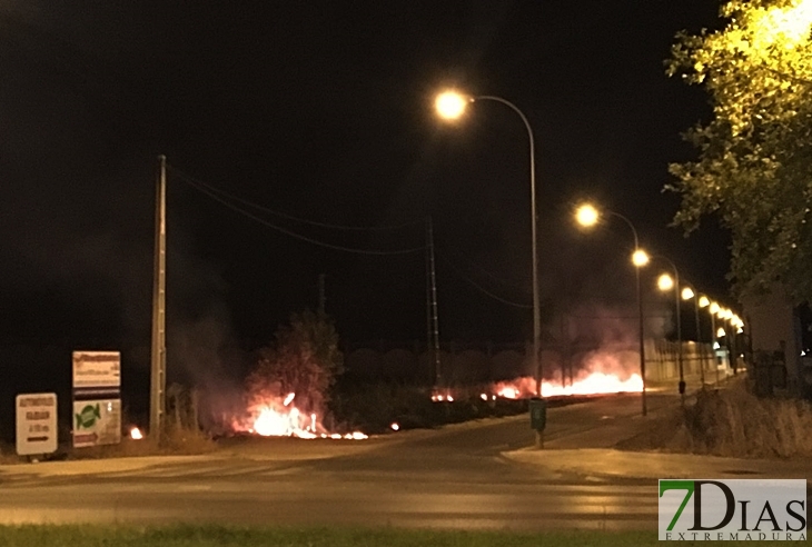 Numerosos incendios afectan a Badajoz a estas horas