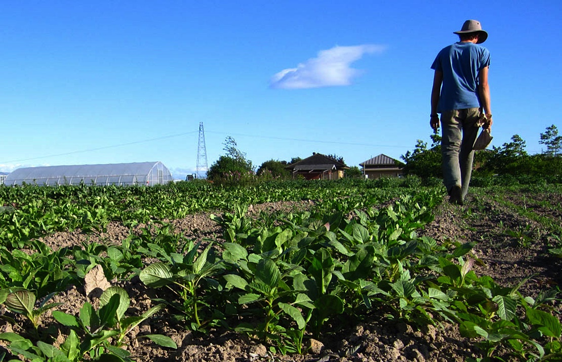 Más del 65% de solicitudes agrarias están sin resolver después de un año