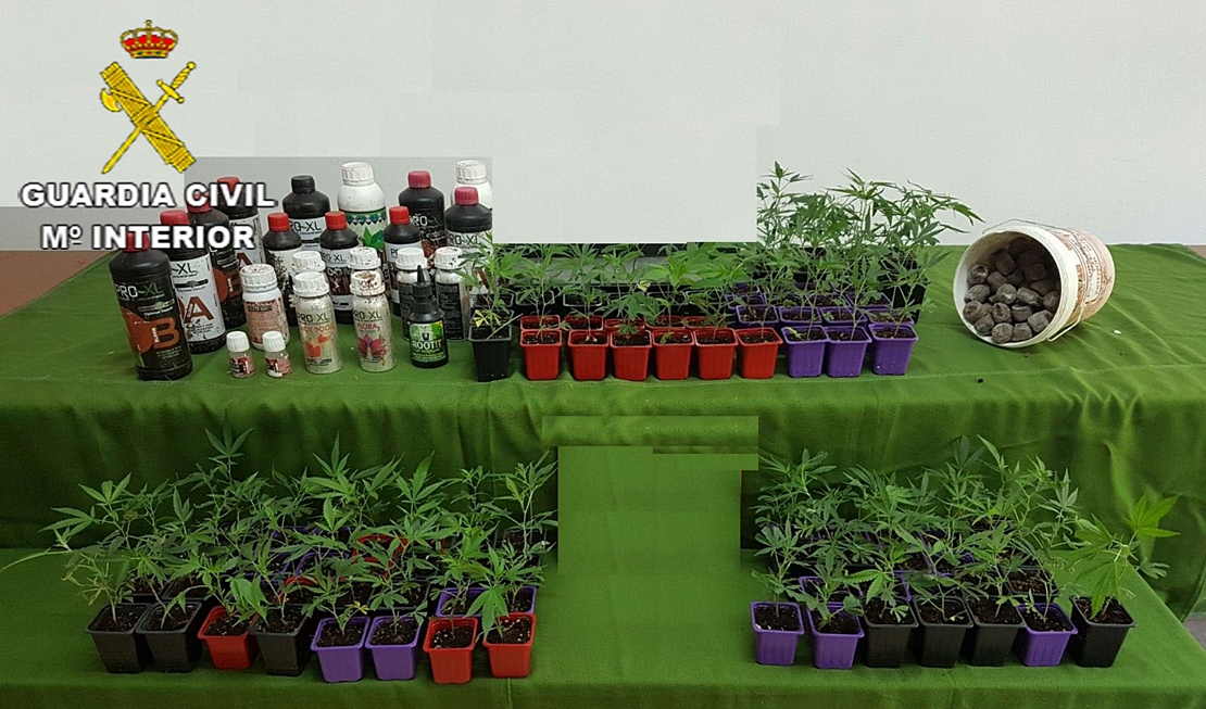 Detenido por un delito de cultivo y tráfico de drogas en la provincia de Cáceres