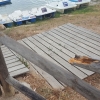 Denuncian el estado de abandono de Proserpina