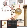 Denuncian el plagio del cartel ganador de la feria de Mérida
