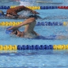 Imágenes de la última jornada del nacional master de natación