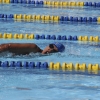 Imágenes de la última jornada del nacional master de natación