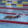 Imágenes de la última jornada del nacional master de natación