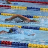 Imágenes de la última jornada del nacional master de natación