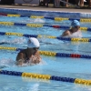 Imágenes de la última jornada del nacional master de natación I