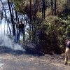 La N-432 continúa sufriendo incendios