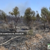 Los incendios no cesan en Badajoz