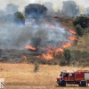 Los incendios no cesan en Badajoz