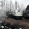 Salen ardiendo varios vehículos tras un incendio de pastos