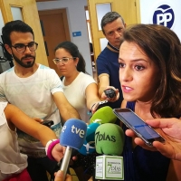 PP: “La Junta suprime el Consultivo pero crea otro órgano opaco”
