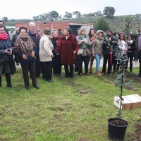 La Fiesta del Árbol de Villanueva de la Sierra ya es Bien de Interés Cultural