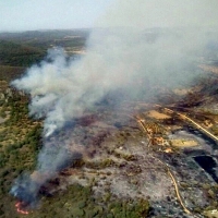 Nivel 1 de peligrosidad por incendio forestal en Casas de Don Pedro (Badajoz)