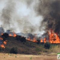 Los incendios no cesan en Badajoz