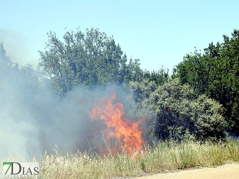 La N-432 continúa sufriendo incendios