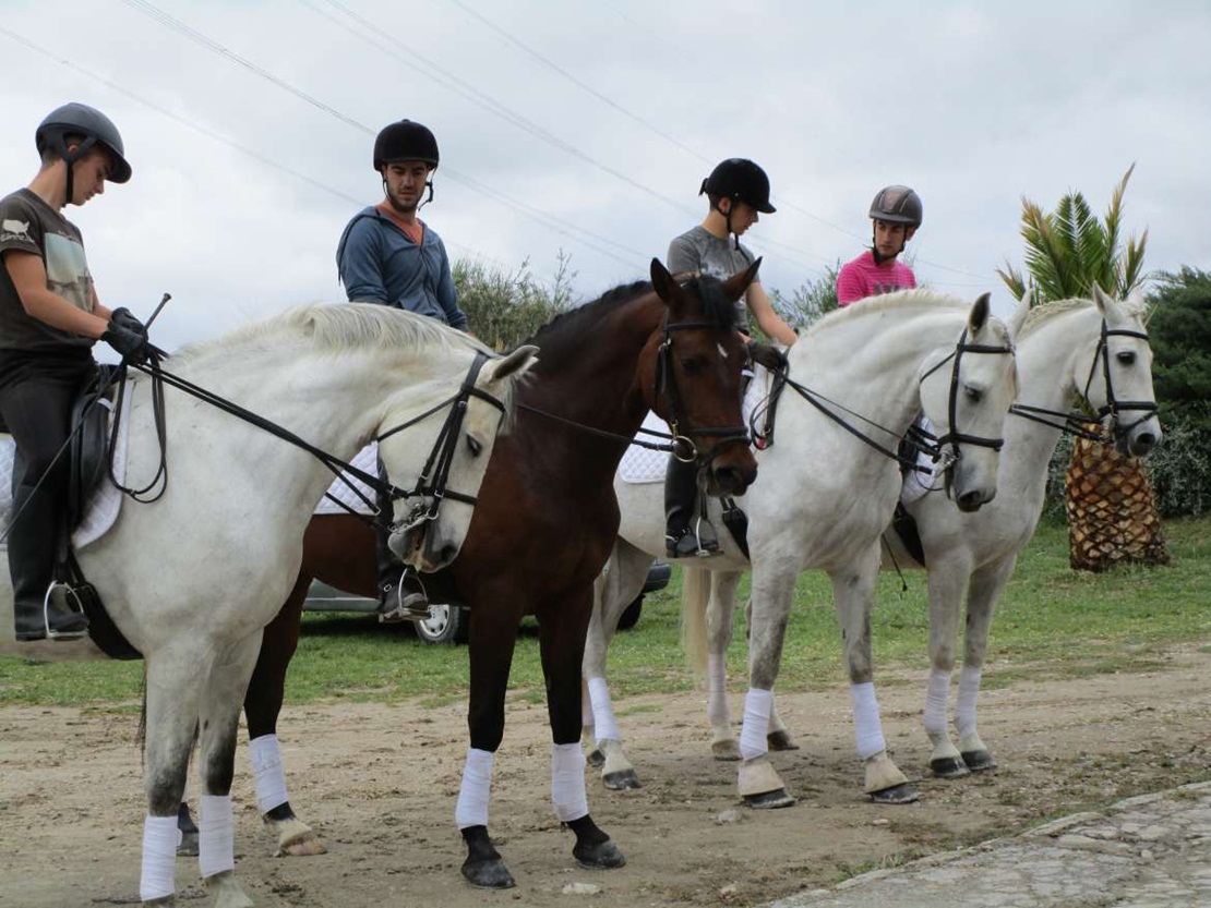 Los jóvenes aprenderán en Navalmoral manejos y cuidados del caballo