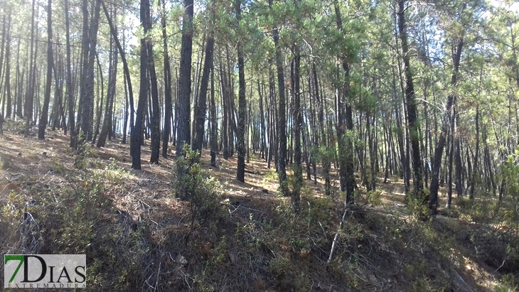 Conoce la sierra donde podría estar escondido el huido de La Codosera