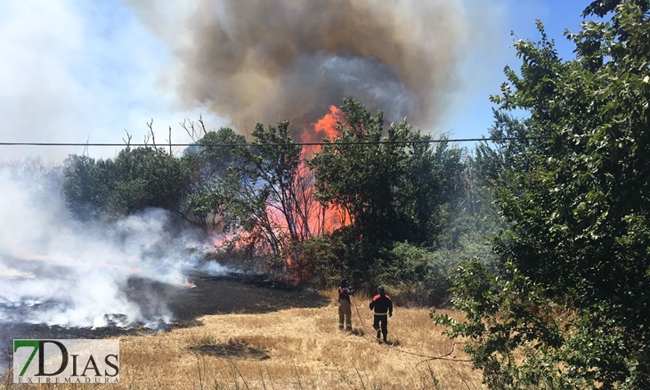 La N-432 continúa sufriendo incendios