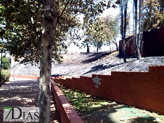 Varios incendios afectaban la pasada madrugada del domingo a la capital autonómica