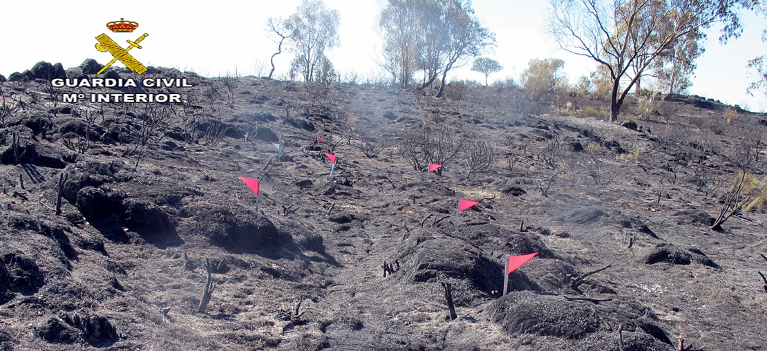 Investigan a tres personas como presuntos autores del incendio de Alcántara
