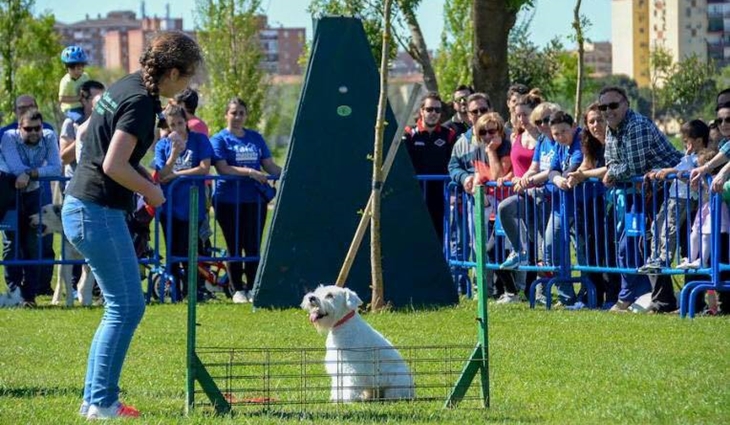 La RUCAB acogerá un encuentro con perros de Terracan