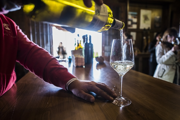 Los vinos de la D.O.  Ribera del Guadiana se promocionan en Italia y Portugal
