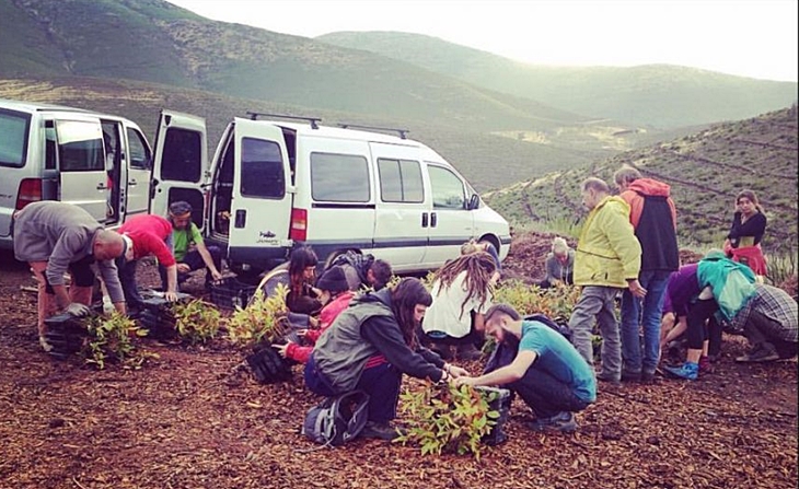 20 artistas se unen para reforestar la Sierra de Gata