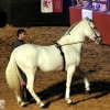 Las actividades no han cesado durante el fin de semana en El Festival Medieval de Alburquerque