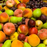 El PP apuesta por la industrialización para impulsar el sector frutícola