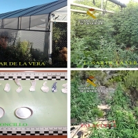 Cinco detenciones por cultivo y venta de drogas en Extremadura