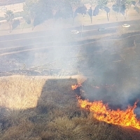Así arde La Alcazaba de Badajoz ante su falta de mantenimiento