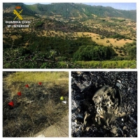 Detenido el autor del incendio forestal  en el “Geoparque de las Villuercas, Ibores y Jara”