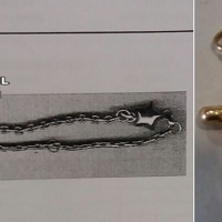 Tres detenidos por robar en una vivienda de Navalmoral