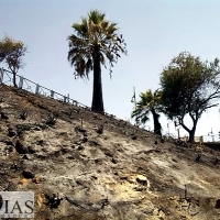 Varios incendios afectaban la pasada madrugada del domingo a Mérida