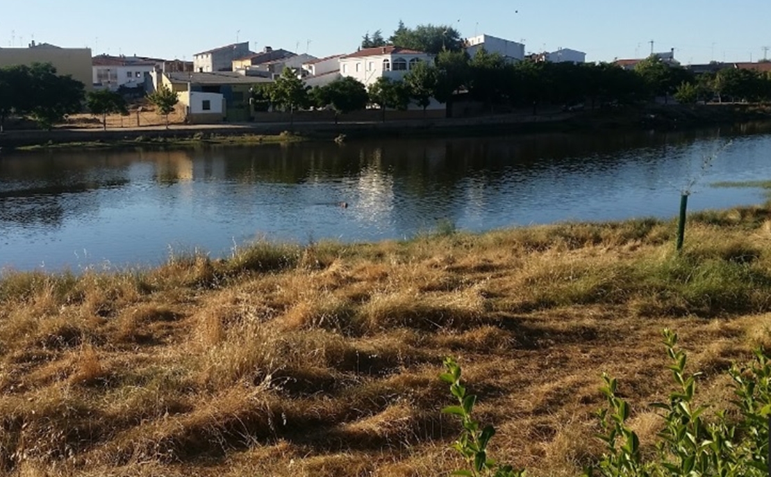 Presunto asesinato machista en Arroyo de la Luz