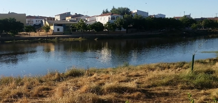 Extremadura condena el asesinato machista de Arroyo de la Luz