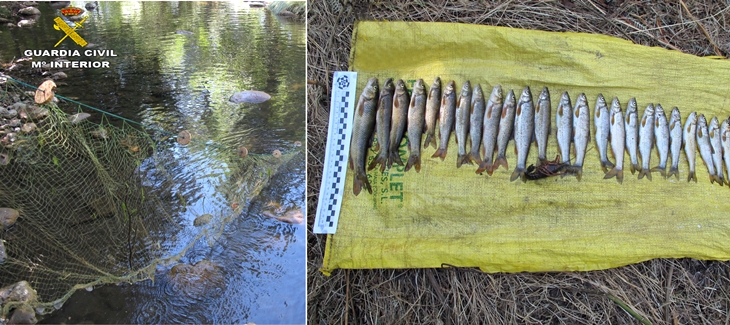 Sorprendido mientras echaba mallas en un río extremeño