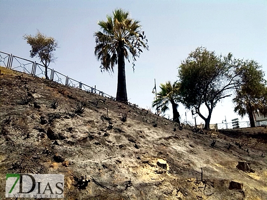 Varios incendios afectaban la pasada madrugada del domingo a la capital autonómica