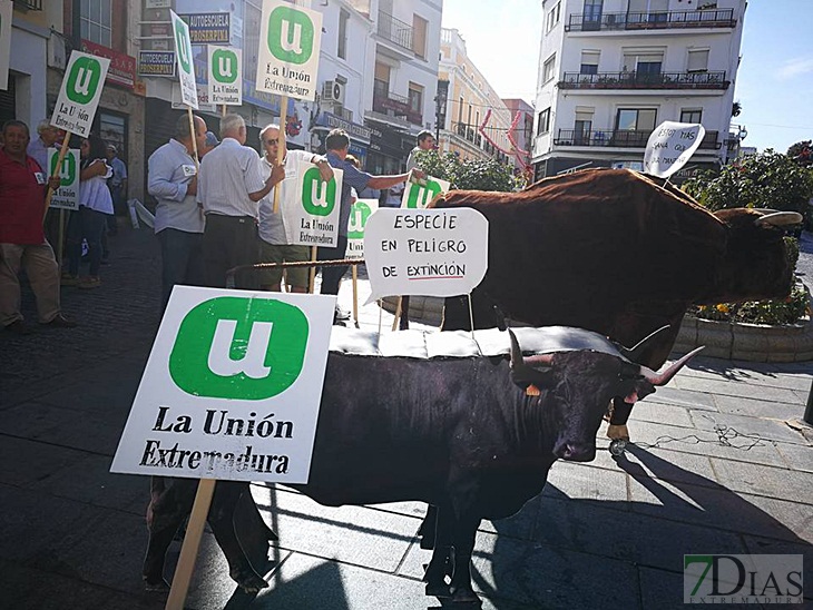 Ganaderos extremeños se manifiestan en contra de las medidas de la Junta