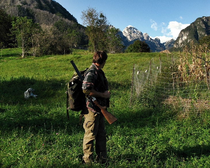 Asaja pide a la Junta autorizar la caza al salto del jabalí para frenar la tuberculosis