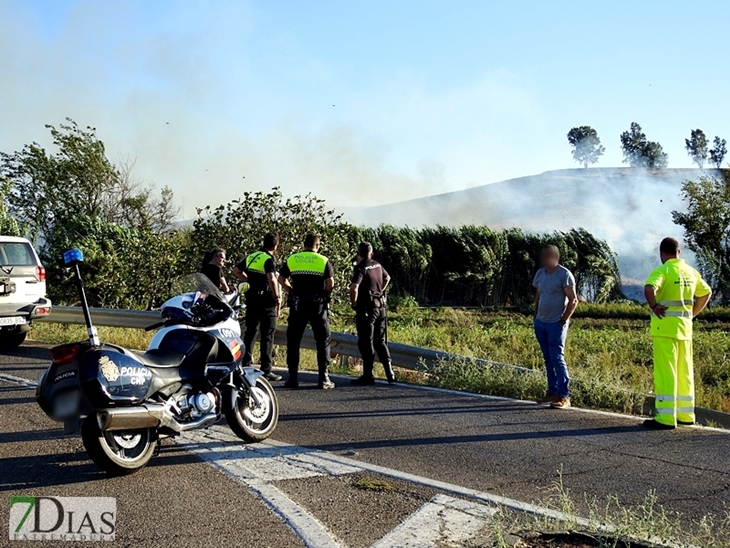 Incendio en una parcela de la carretera de Sevilla (Badajoz)