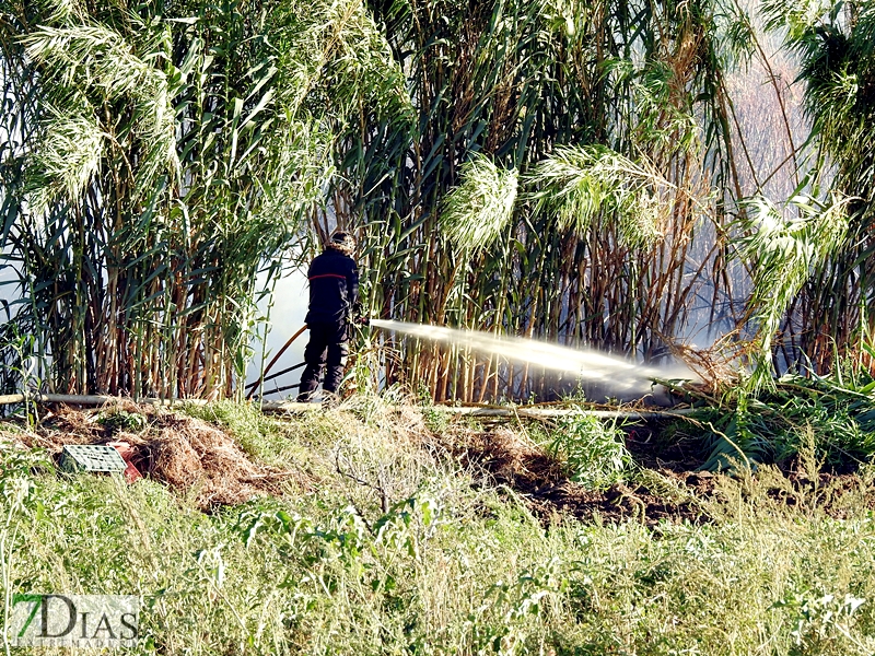 Incendio en una parcela de la carretera de Sevilla (Badajoz)