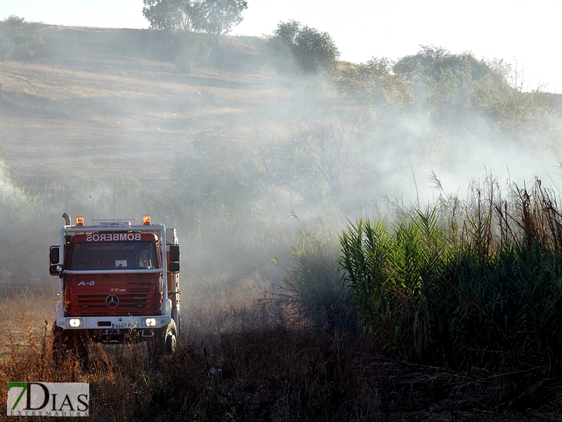 Incendio en una parcela de la carretera de Sevilla (Badajoz)