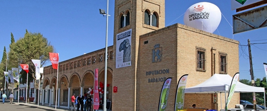 La Feria de Zafra acogerá una exposición de esculturas recicladas