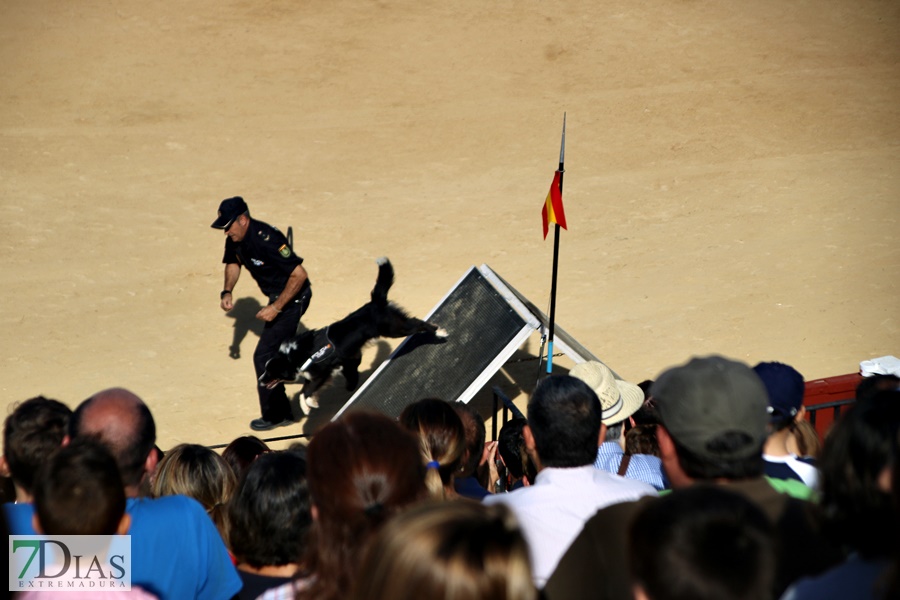 Exhibición de la Policía Nacional en la Plaza de Toros de Badajoz