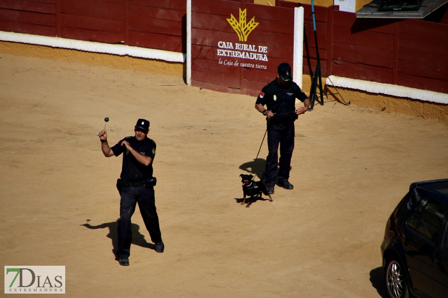 Exhibición de la Policía Nacional en la Plaza de Toros de Badajoz