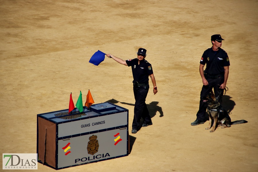 Exhibición de la Policía Nacional en la Plaza de Toros de Badajoz