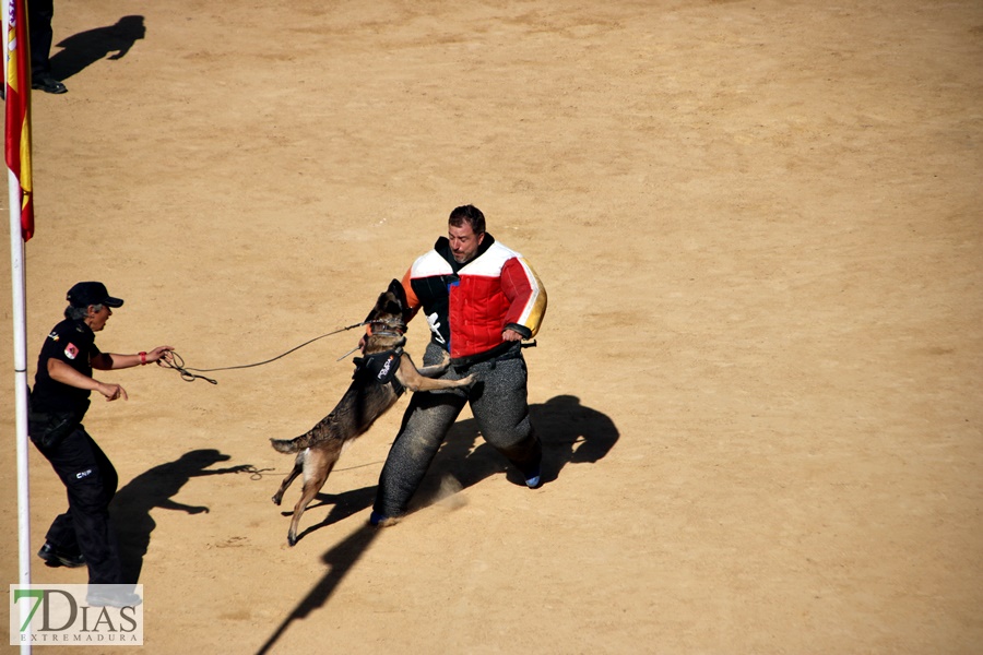 Exhibición de la Policía Nacional en la Plaza de Toros de Badajoz