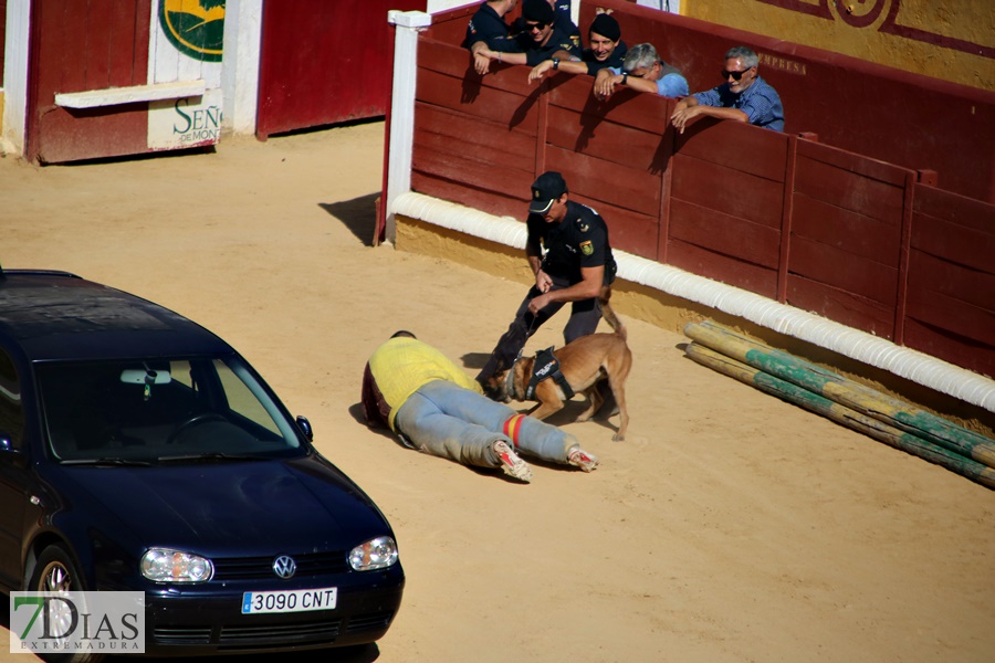 Exhibición de la Policía Nacional en la Plaza de Toros de Badajoz