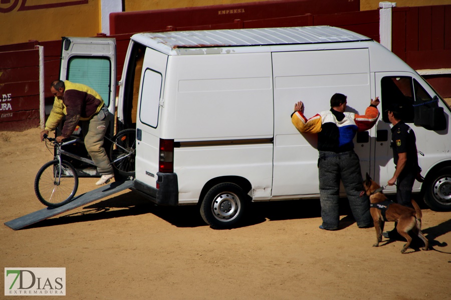 Exhibición de la Policía Nacional en la Plaza de Toros de Badajoz